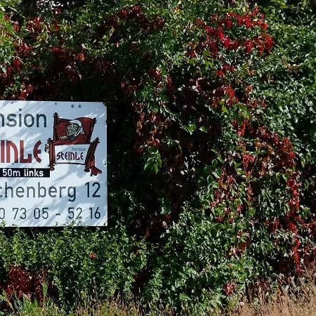 - Steinle 3* Erbach an der Danau